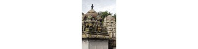 திருவாமூர்